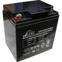 Leoch DJW 12-28h