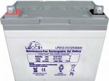 Leoch LPG 12-31