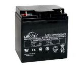 Leoch DJW 12-28