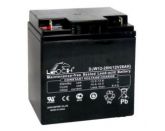Leoch DJW 12-24H