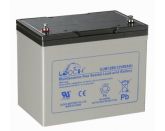 Leoch DJM 1280